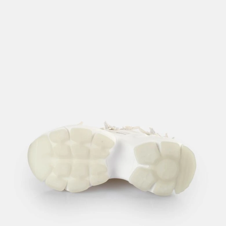 Buffalo Binary Butterfly 7 Buffalo Binary Butterfly – Bild 5